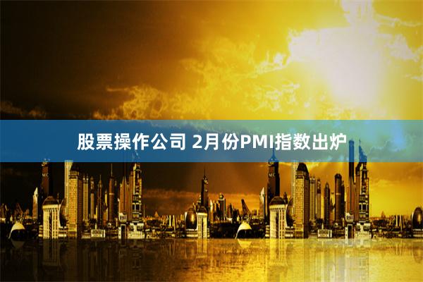 股票操作公司 2月份PMI指数出炉