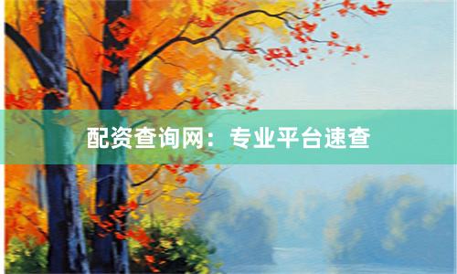 配资查询网：专业平台速查